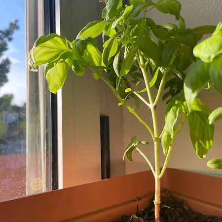 - Spacieux Entre Et Nature ! Apartment *